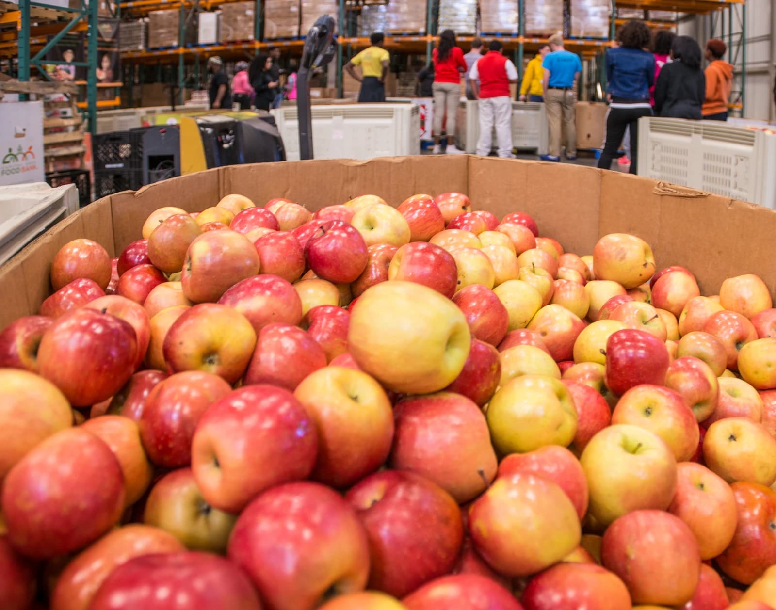 People sorting and moving goods in a warehouse filled with fresh produce.
