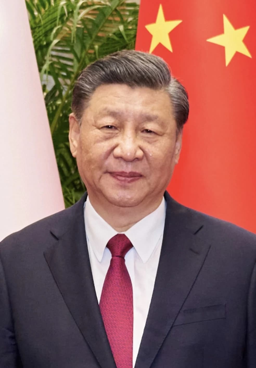 Xi Jinping, President of China, stands in front of a red and gold flag.