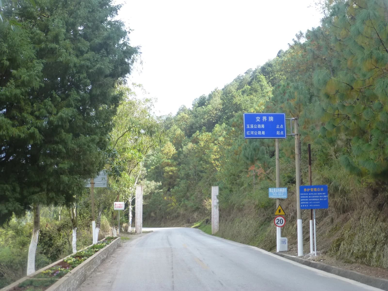 Road with multiple signs, including one in Chinese characters, surrounded by trees.