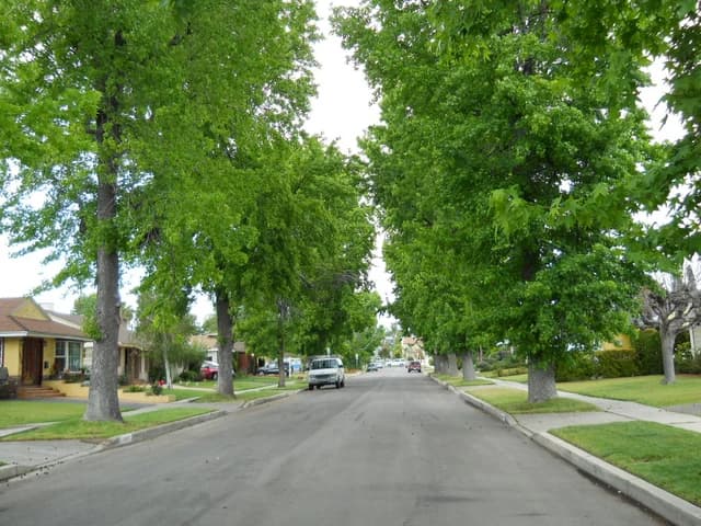 Suburban street with houses and trees under a bright sky in Van Nuys, California.