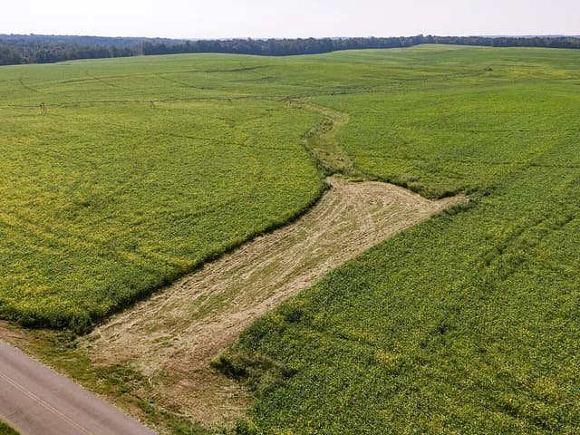 Aerial view of large green agricultural fields with part of the crop recently harvested.