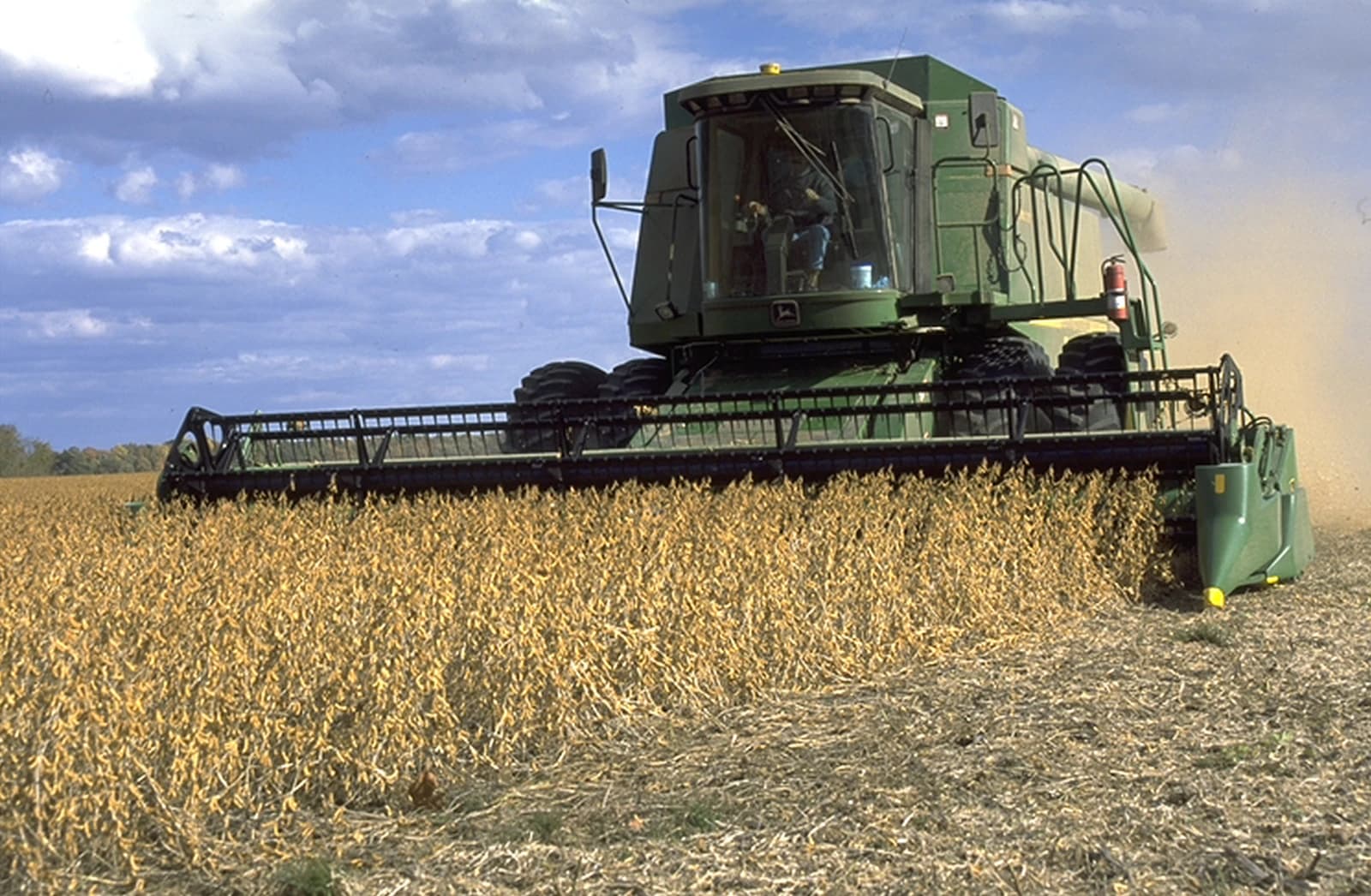 Combine harvester operating in a field, harvesting soybeans.